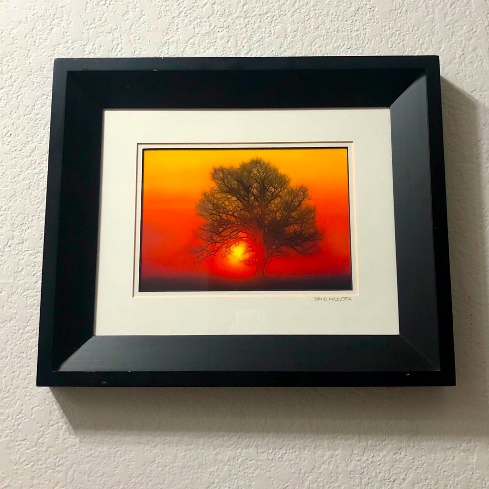 Original Sunset Photo by David Micelotta